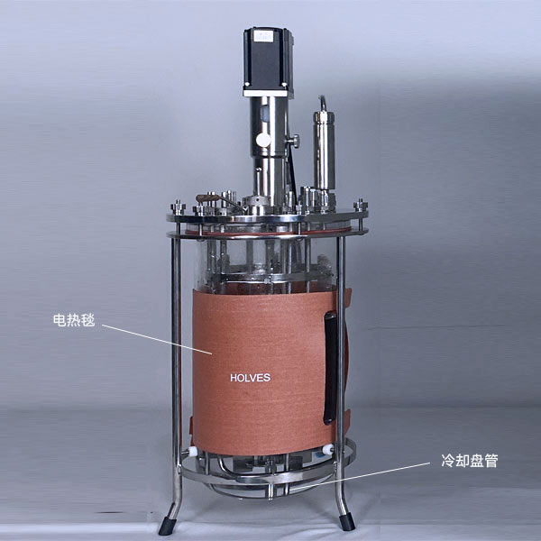 OG视讯（HOLVES）实验发酵罐